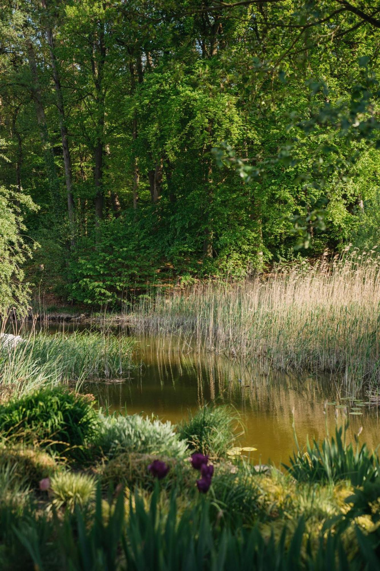 Muehle Tornow Am Wentowsee Bagian luar foto